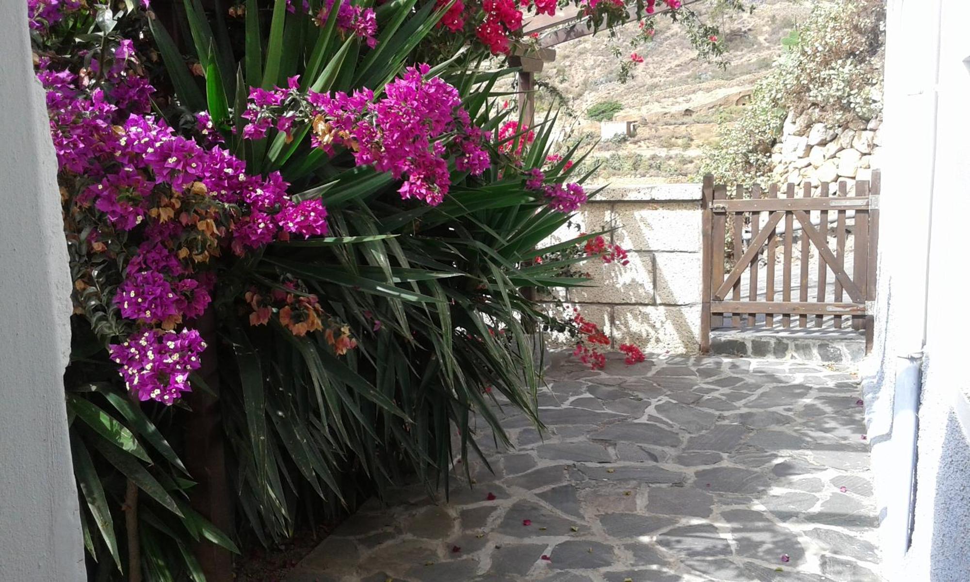 Casapancho 1 Y 2 - Casa Rural - Fasnia - Tenerife Szoba fotó